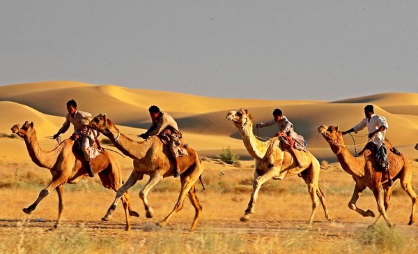 Jaisalmer-Camel-Safari-Rajasthan-Tour-Package